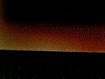SN37470
