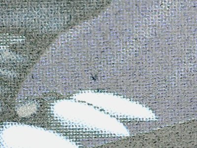 SN37470