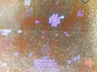 SN37524