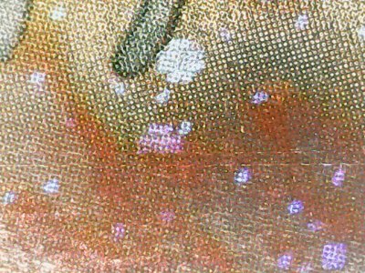SN37524