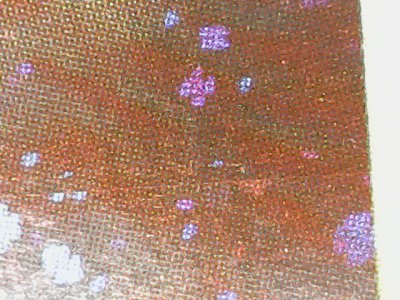 SN37524