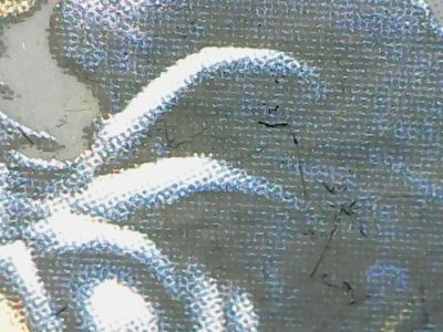 SN37556