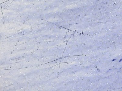 SN37556