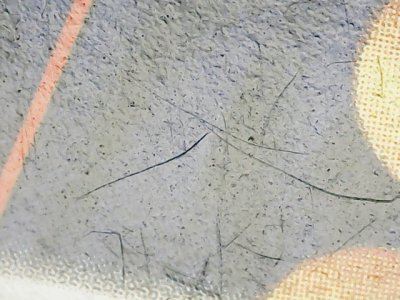 SN37583
