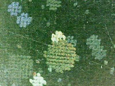 SN37584