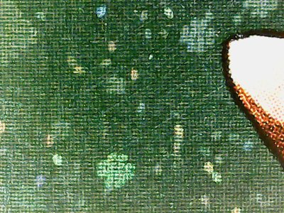SN37584