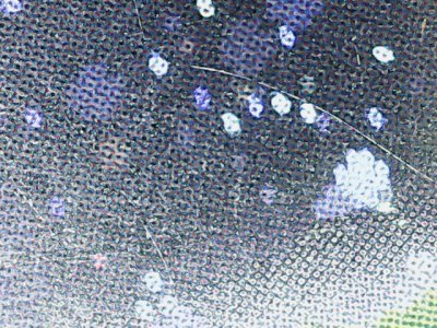 SN37585