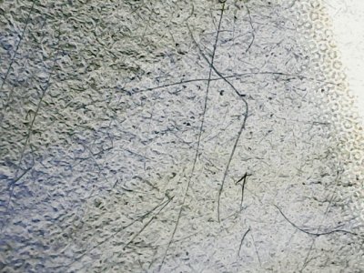SN37585