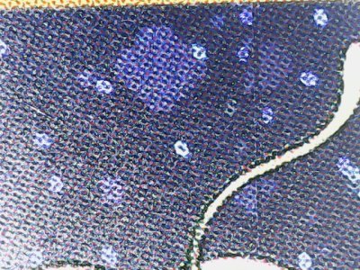 SN37586
