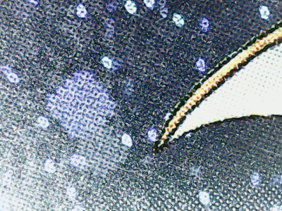 SN37586