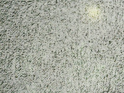 SN37595