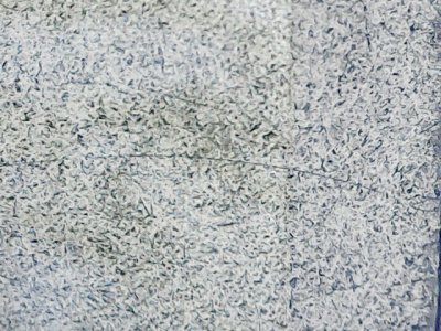 SN37596