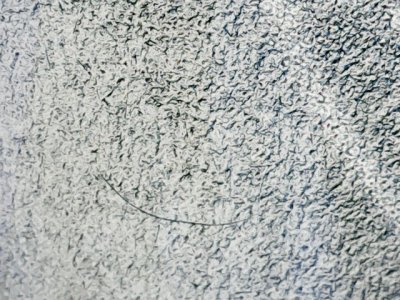 SN37598
