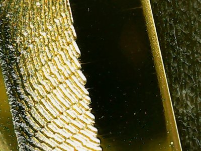 SN37871