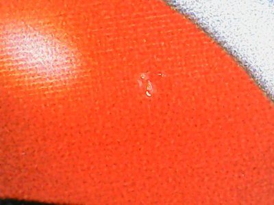SN37871
