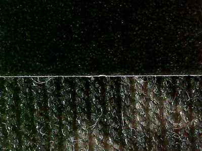 SN37876