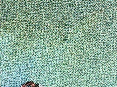 SN37877