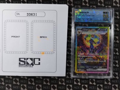 SN33631