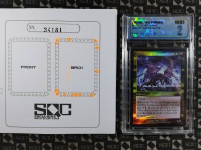 SN34181