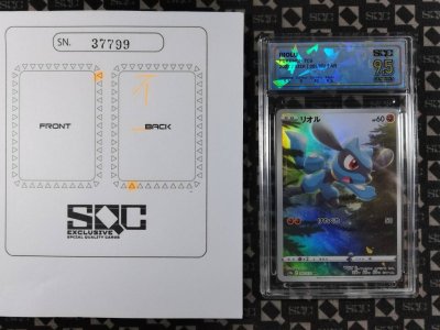 SN37799