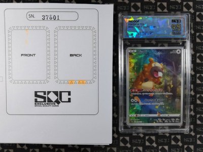 SN37801