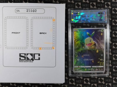 SN37802