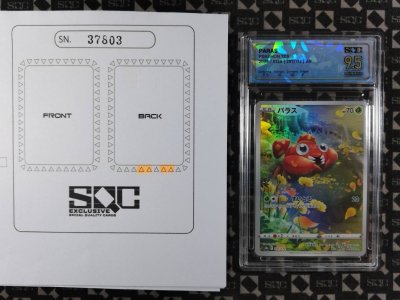 SN37803
