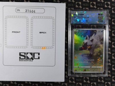 SN37804