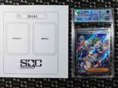SN30484