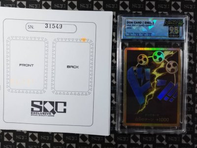 SN31549
