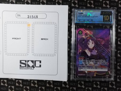 SN31548