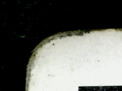 SN31457
