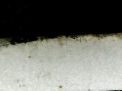 SN31457