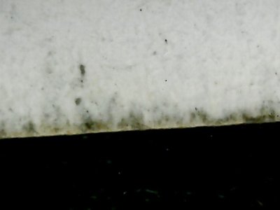 SN31457