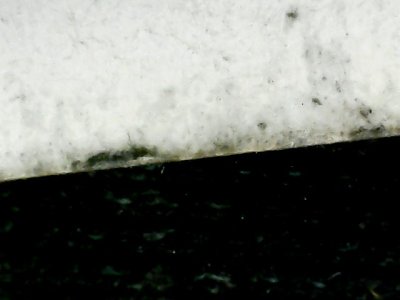 SN31457