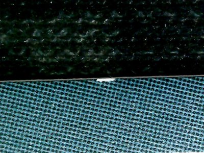 SN31549