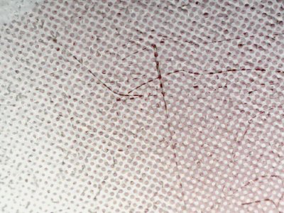SN32636