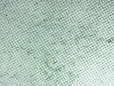 SN32636