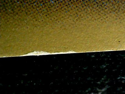 SN32636