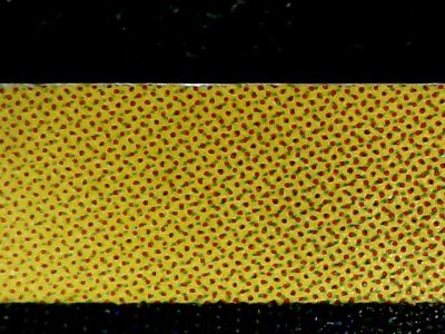 SN32636