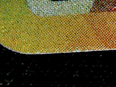 SN32894