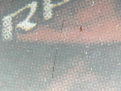 SN34295