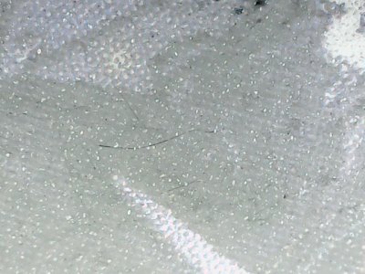 SN37193