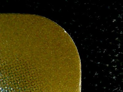 SN37713