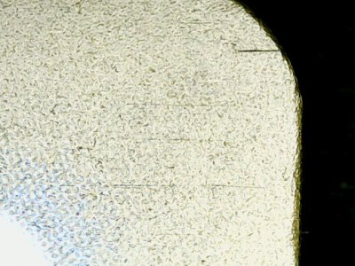 SN37717