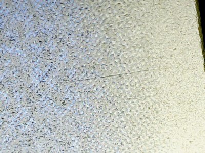 SN37729