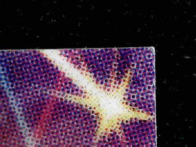 SN37733