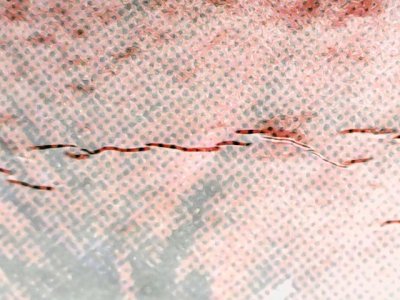 SN37734