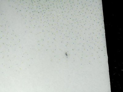 SN37734