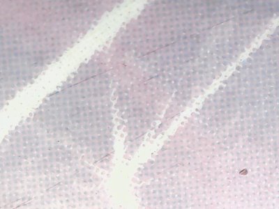 SN37735